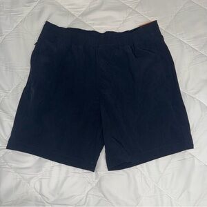 Hollister Dark Blue Flat Front Shorts
